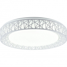 Потолочный светильник Diana TL1204X-72WH