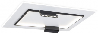 Потолочный светильник COMFORT FL51456