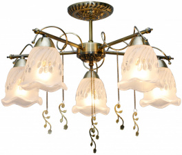 Потолочная люстра Delia TL1195X-05AB